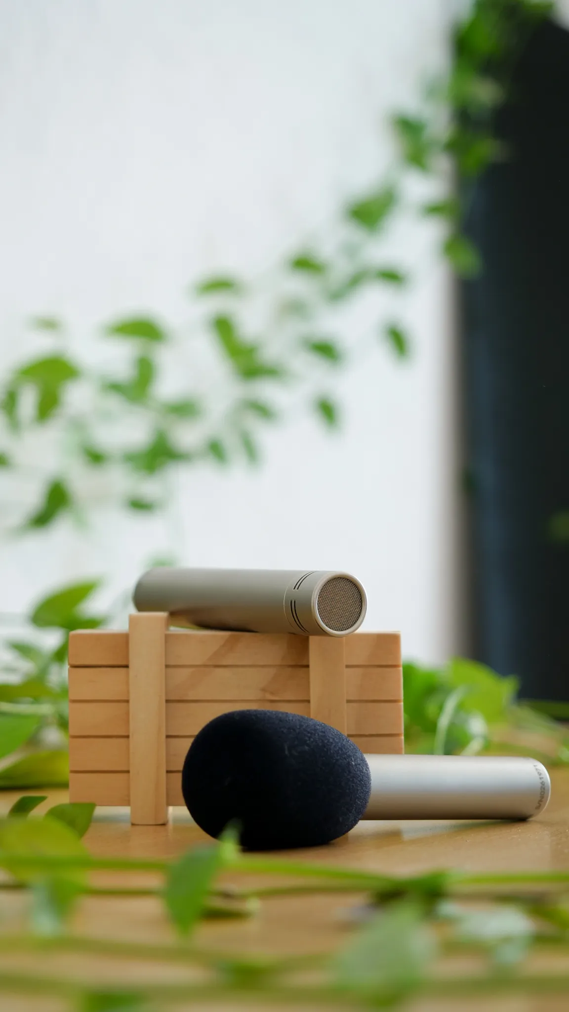 Ein Mikrofon mit Popschutz liegt auf einer holzigen Oberfläche, dahinter ein kleines Holzkästchen im Palettenstyle, auf dem ein weiteres Mikrofon liegt. Umrahmt wird das Bild von einer grünen Rankpflanze.